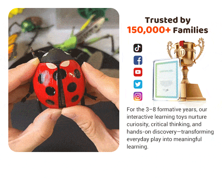 🐞Kids' Insect & Animal Slot-Assembly Toys
