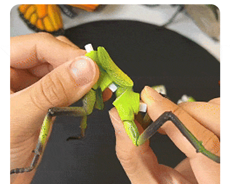 🐞Kids' Insect & Animal Slot-Assembly Toys
